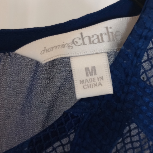 Charming Charlie Sleeveless Dress - Picture 3 of 3